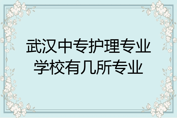 武汉中专护理专业学校有几所专业