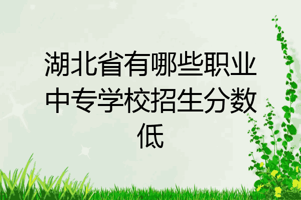 湖北省有哪些职业中专学校招生分数低