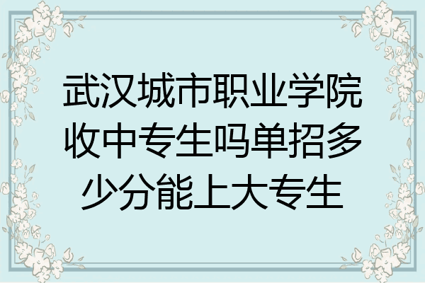 武汉城市职业学院收中专生吗单招多少分能上大专生