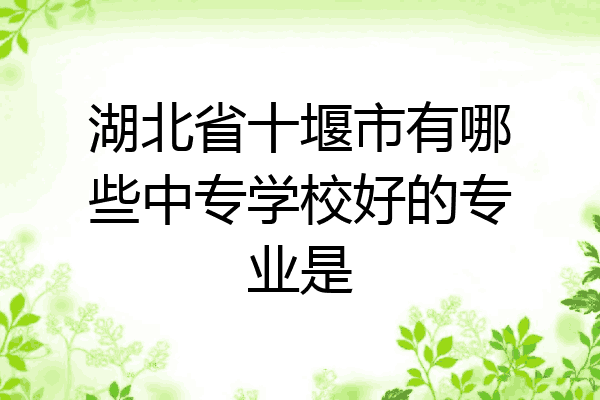 湖北省十堰市有哪些中专学校好的专业是
