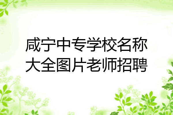 咸宁中专学校名称大全图片老师招聘