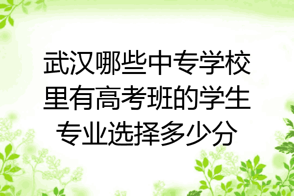 武汉哪些中专学校里有高考班的学生专业选择多少分