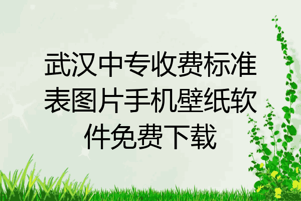 武汉中专收费标准表图片手机壁纸软件免费下载