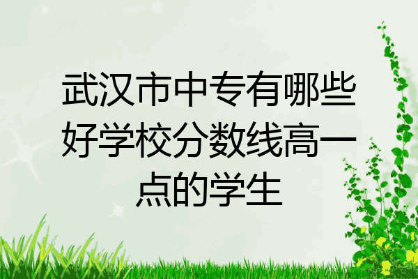 武汉市中专有哪些好学校分数线高一点的学生