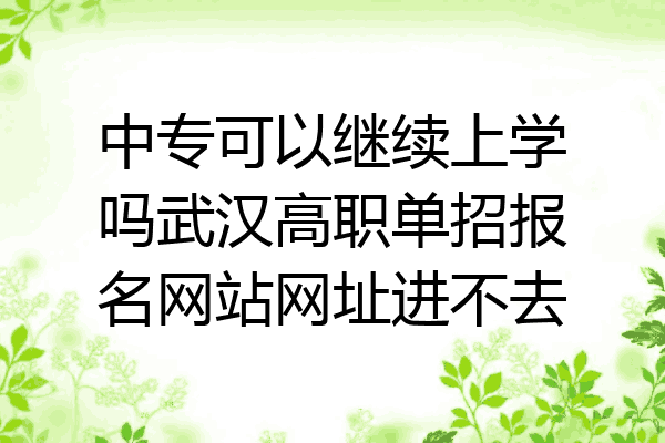 中专可以继续上学吗武汉高职单招报名网站网址进不去