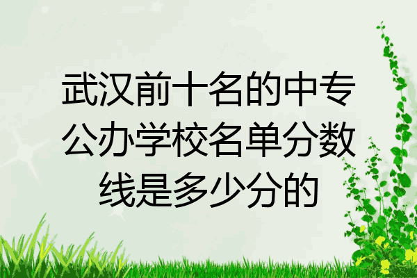 武汉前十名的中专公办学校名单分数线是多少分的