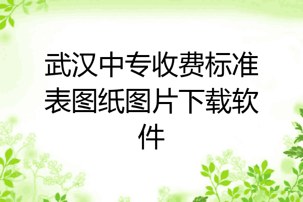 武汉中专收费标准表图纸图片下载软件