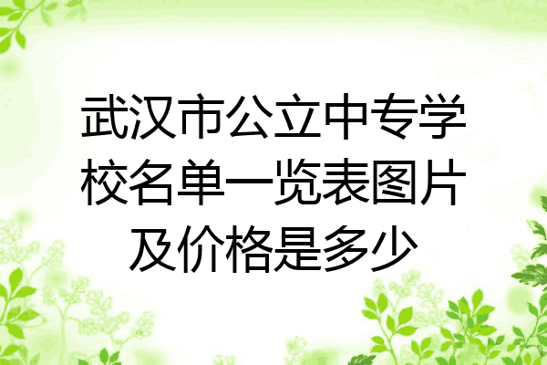 武汉市公立中专学校名单一览表图片及价格是多少