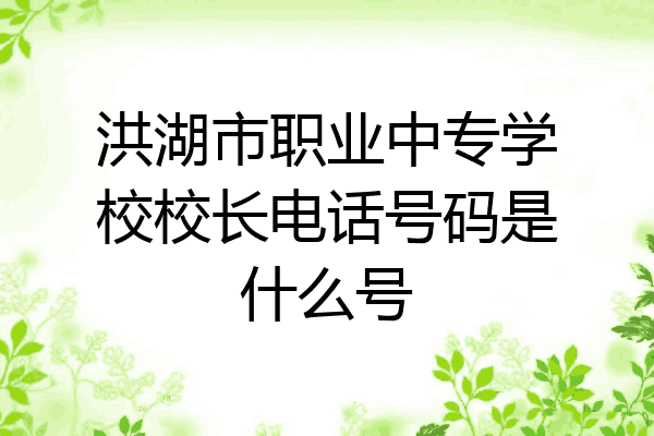 洪湖市职业中专学校校长电话号码是什么号