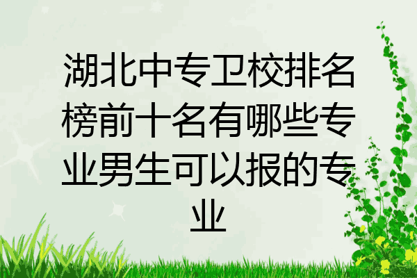 湖北中专卫校排名榜前十名有哪些专业男生可以报的专业