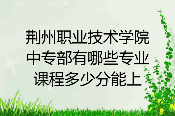 荆州职业技术学院中专部有哪些专业课程多少分能上