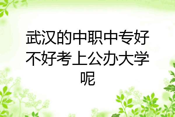 武汉的中职中专好不好考上公办大学呢