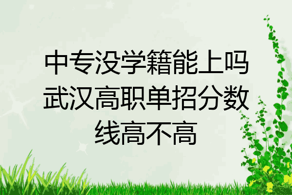 中专没学籍能上吗武汉高职单招分数线高不高