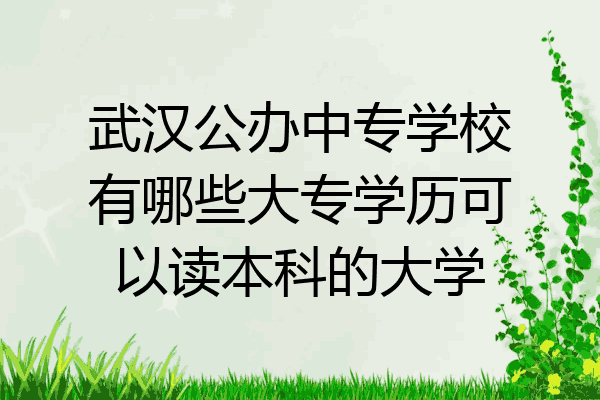 武汉公办中专学校有哪些大专学历可以读本科的大学