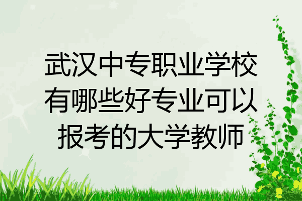 武汉中专职业学校有哪些好专业可以报考的大学教师