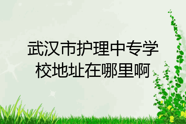 武汉市护理中专学校地址在哪里啊