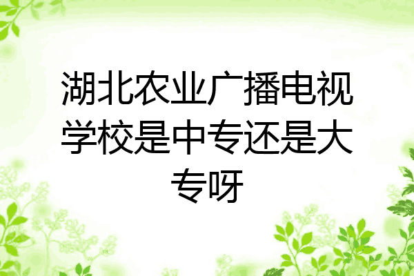 湖北农业广播电视学校是中专还是大专呀