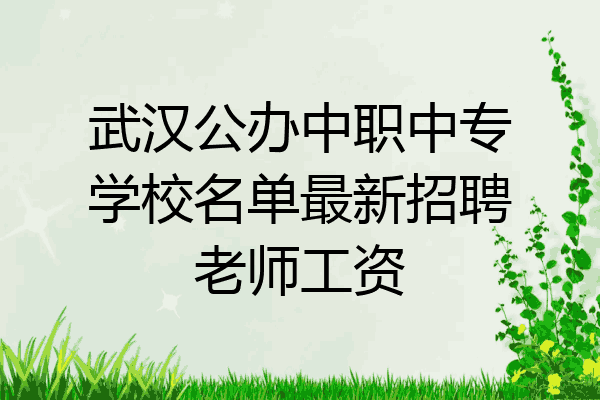 武汉公办中职中专学校名单最新招聘老师工资