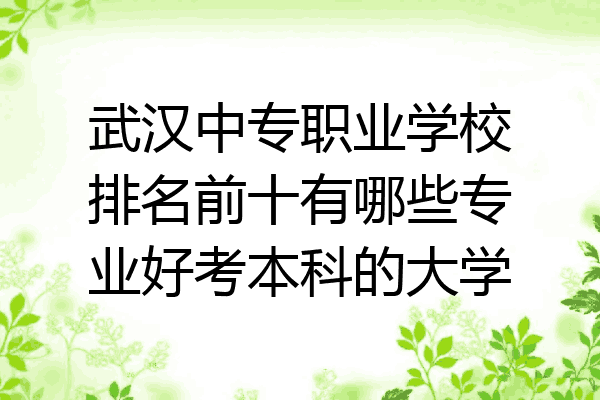 武汉中专职业学校排名前十有哪些专业好考本科的大学