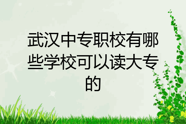 武汉中专职校有哪些学校可以读大专的