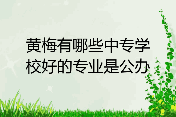 黄梅有哪些中专学校好的专业是公办