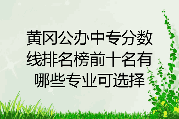 黄冈公办中专分数线排名榜前十名有哪些专业可选择