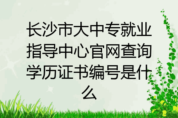 长沙市大中专就业指导中心官网查询学历证书编号是什么