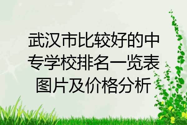 武汉市比较好的中专学校排名一览表图片及价格分析