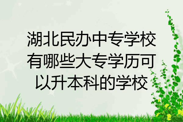 湖北民办中专学校有哪些大专学历可以升本科的学校