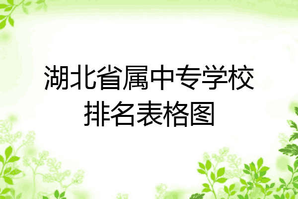 湖北省属中专学校排名表格图