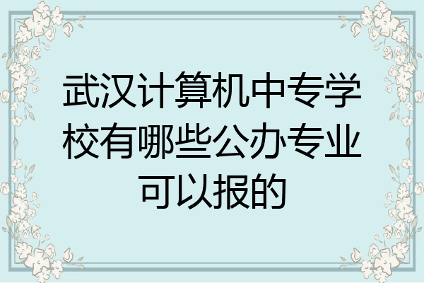 武汉计算机中专学校有哪些公办专业可以报的