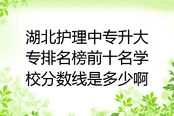 湖北护理中专升大专排名榜前十名学校分数线是多少啊