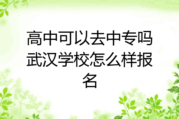 高中可以去中专吗武汉学校怎么样报名