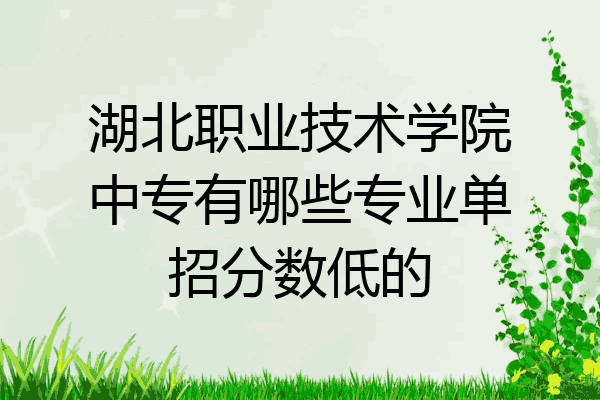 湖北职业技术学院中专有哪些专业单招分数低的
