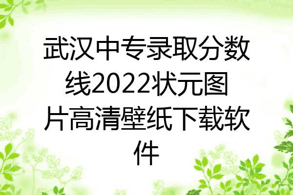 武汉中专录取分数线2022状元图片高清壁纸下载软件