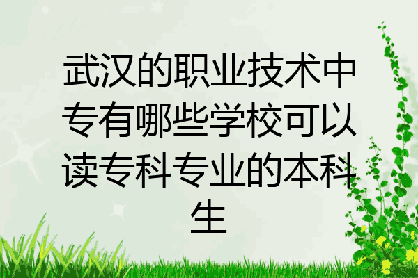武汉的职业技术中专有哪些学校可以读专科专业的本科生