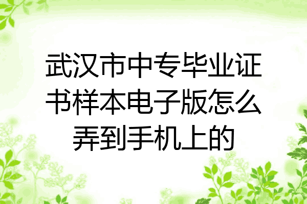 武汉市中专毕业证书样本电子版怎么弄到手机上的