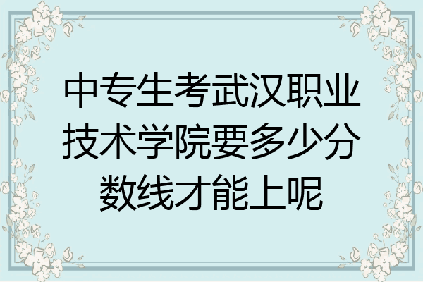 中专生考武汉职业技术学院要多少分数线才能上呢