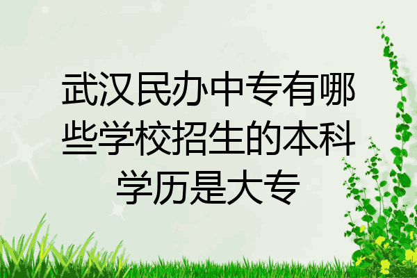 武汉民办中专有哪些学校招生的本科学历是大专