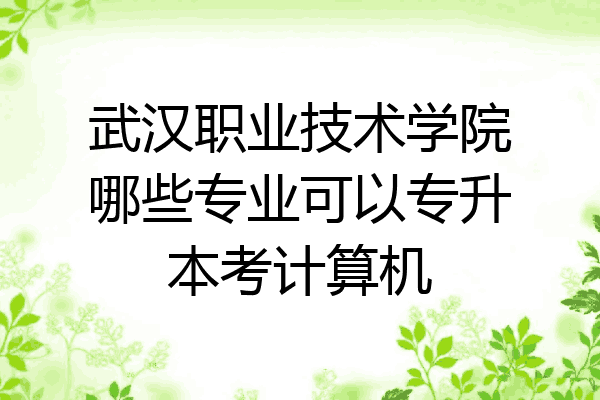 武汉职业技术学院哪些专业可以专升本考计算机