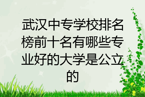 武汉中专学校排名榜前十名有哪些专业好的大学是公立的