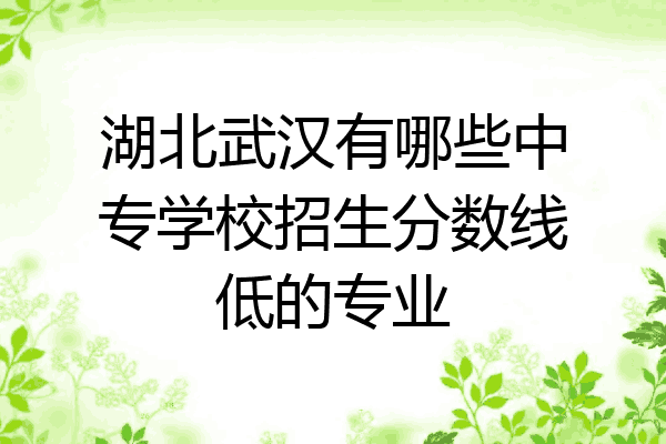 湖北武汉有哪些中专学校招生分数线低的专业