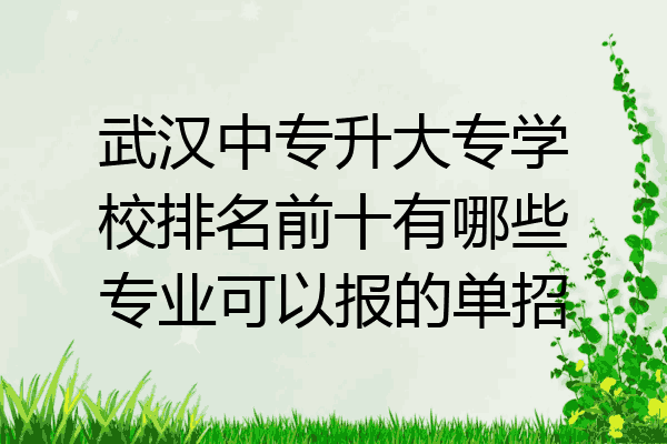 武汉中专升大专学校排名前十有哪些专业可以报的单招