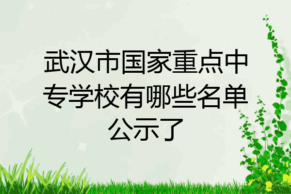 武汉市国家重点中专学校有哪些名单公示了