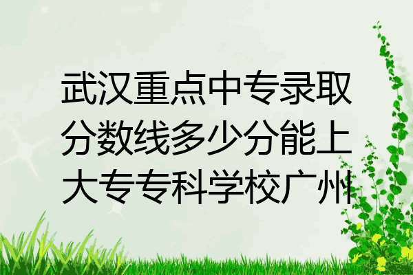 武汉重点中专录取分数线多少分能上大专专科学校广州