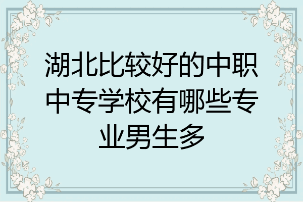 湖北比较好的中职中专学校有哪些专业男生多