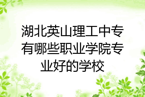 湖北英山理工中专有哪些职业学院专业好的学校