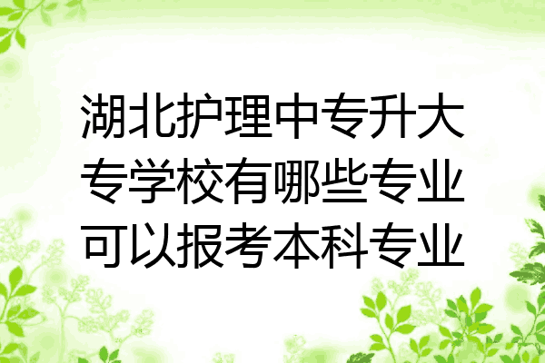 湖北护理中专升大专学校有哪些专业可以报考本科专业