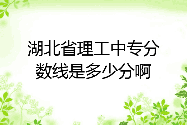 湖北省理工中专分数线是多少分啊