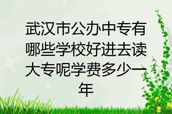 武汉市公办中专有哪些学校好进去读大专呢学费多少一年